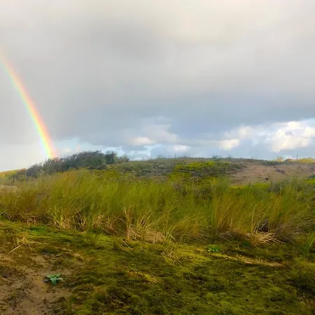 Stern * نوردفيك