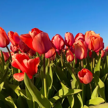 Stern Дом отдыха *