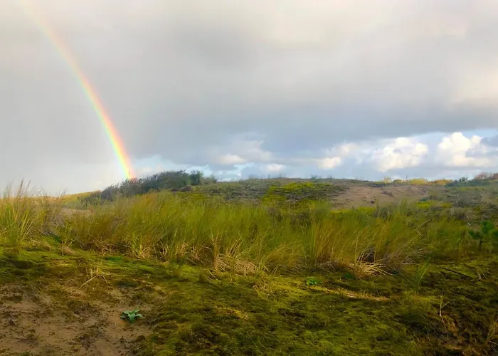 Stern * نوردفيك