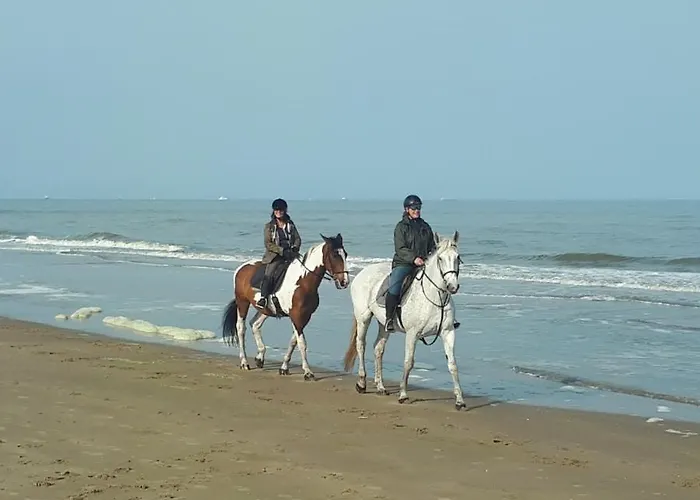 Stern * Noordwijk