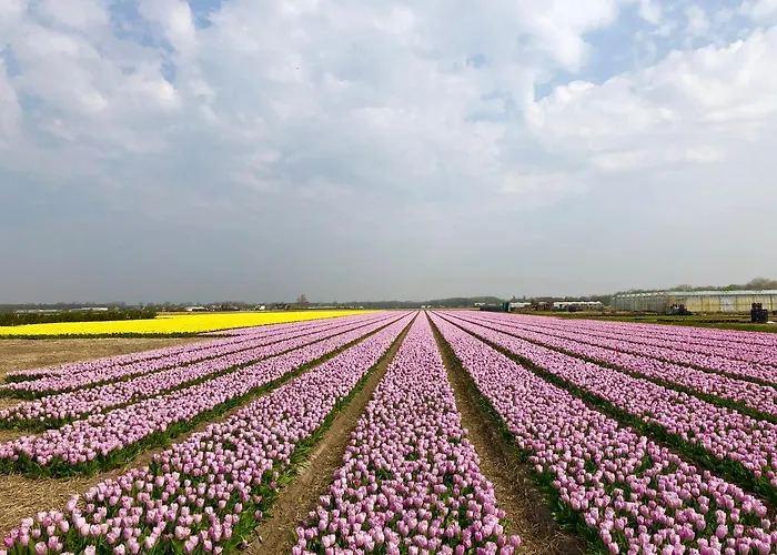 Stern بيت للعطل *