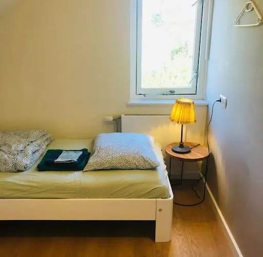 Stern 노르트베이크