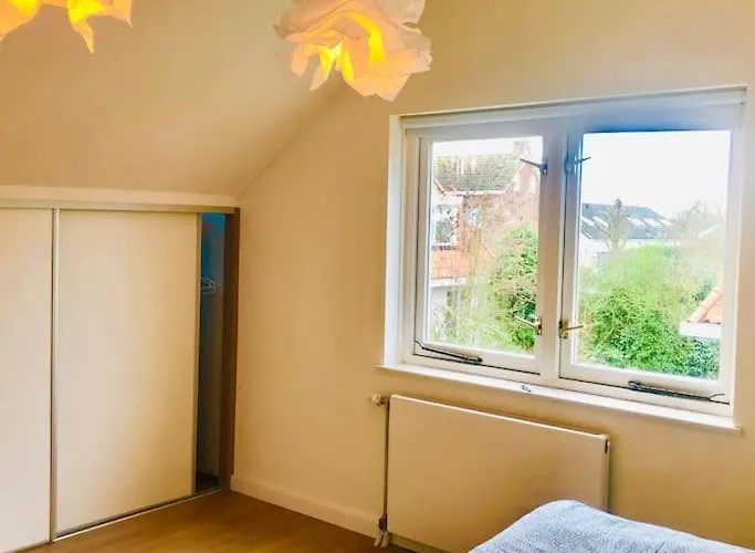 Stern نوردفيك