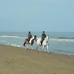 Stern * Noordwijk