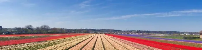 Stern * Нордвейк-ан-Зее