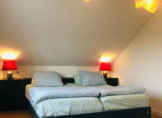 Stern Нордвейк-ан-Зее